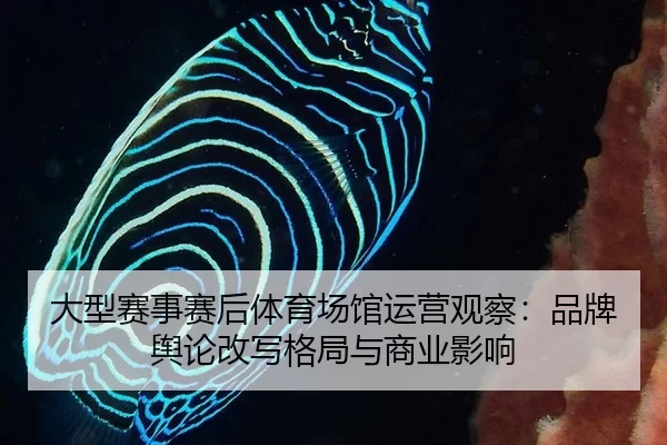 da-xing-sai-shi-sai-hou-ti-yu-chang-guan-yun-ying-guan-cha-pin-pai-yu-lun-gai-xie-ge-ju-yu-shang-ye-ying-xiang-2-860.jpg